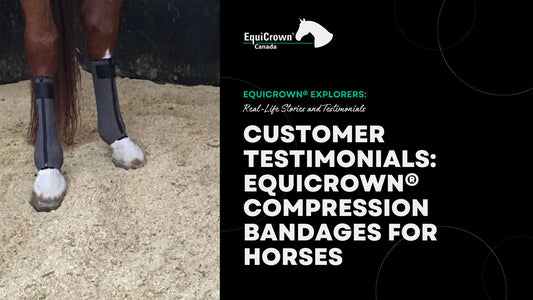 Customer Testimonials: EquiCrown® Compression Bandages for Horses
