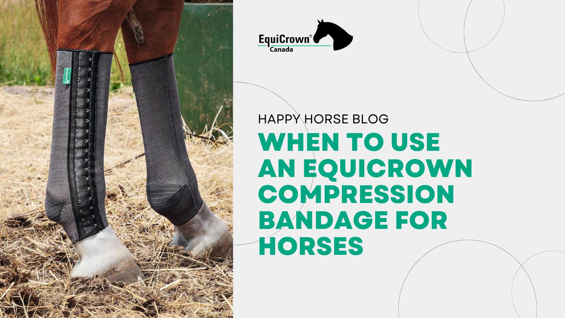 When To Use an EquiCrown Compression Bandage For Horses – EquiCrown USA