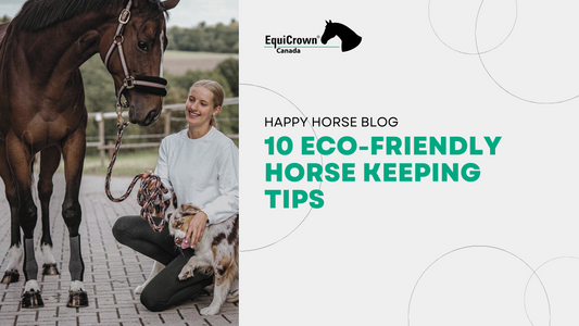 10 Eco-Friendly Horse Keeping Tips