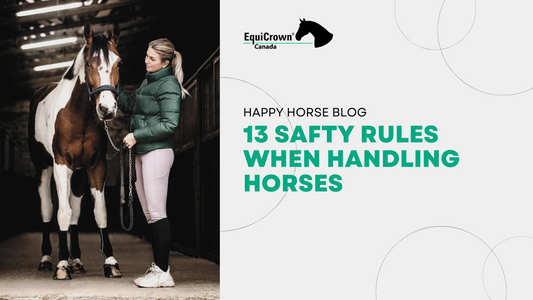 13 Safety Rules When Handling Horses