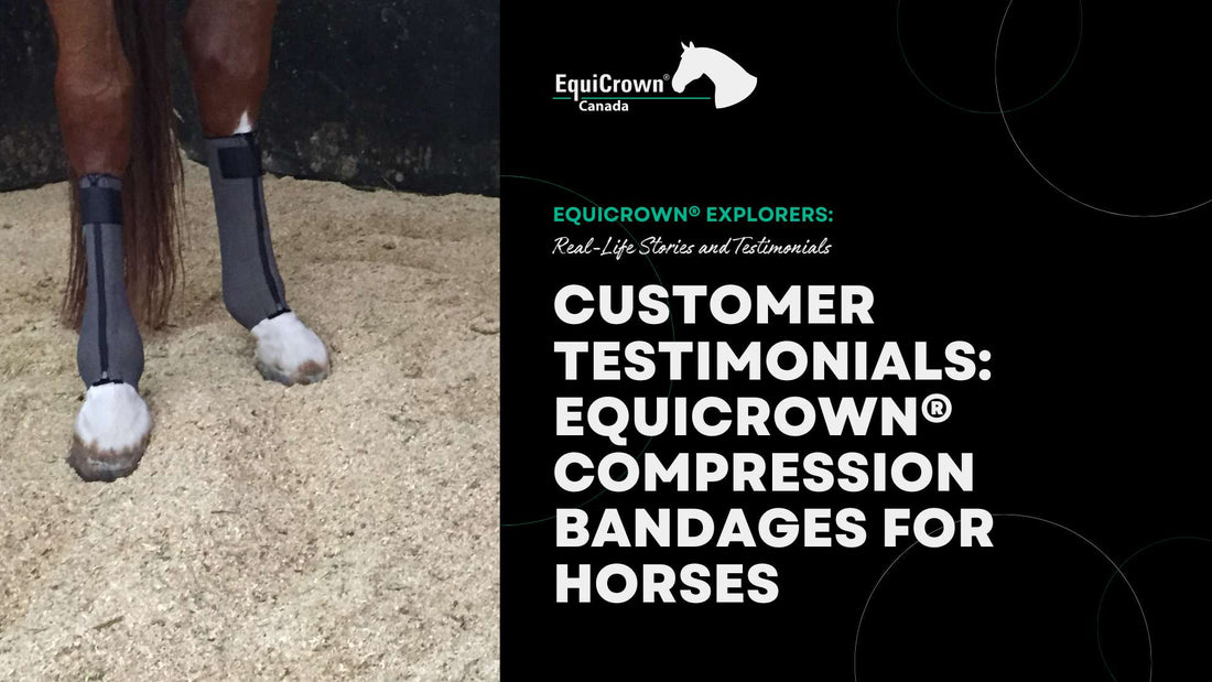 Customer Testimonials: EquiCrown® Compression Bandages for Horses