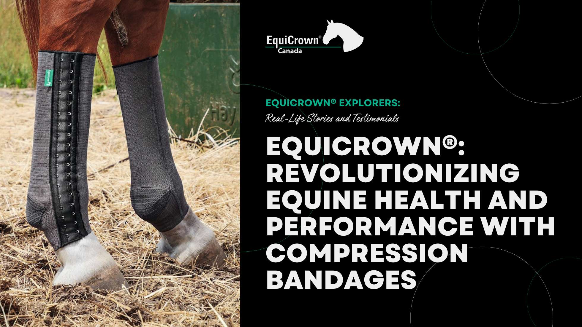 EquiCrown® Revolutionizing Equine Health and Performance with Compres