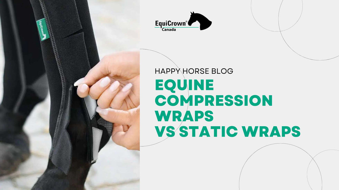 Equine Compression Wraps VS Static Wraps