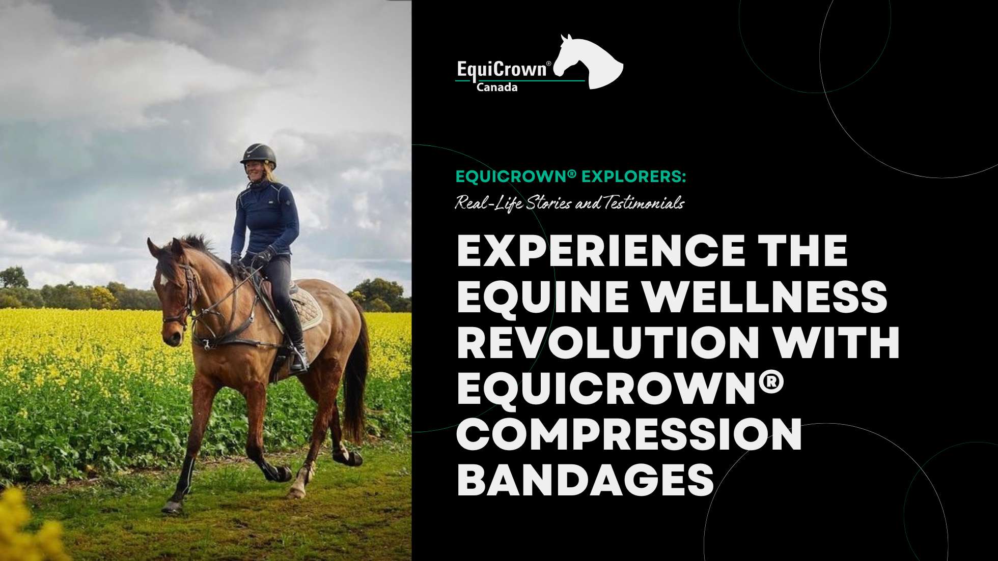 Experience the Equine Wellness Revolution with EquiCrown® Compression