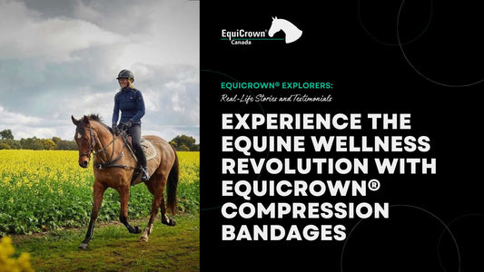 Experience the Equine Wellness Revolution with EquiCrown® Compression Bandages