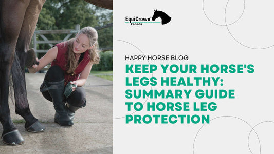 Keep Your Horse's Legs Healthy: Summary Guide to Horse Leg Protection