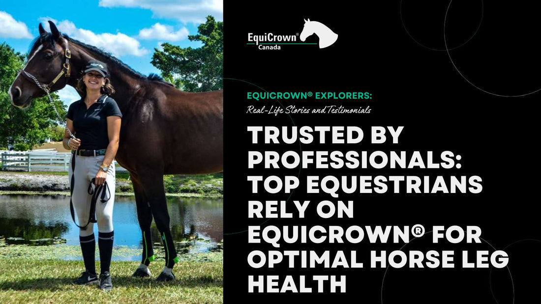 Trusted by Professionals: How Top Equestrians Rely on EquiCrown® Compression Wraps for Optimal Horse Leg Health