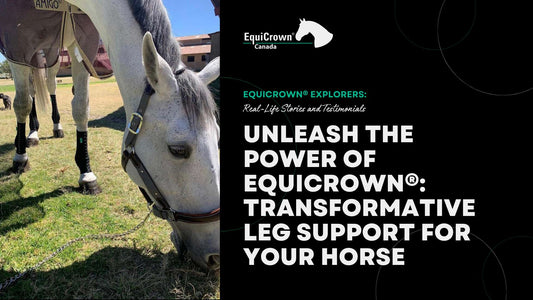 Unleash the Power of EquiCrown®: Transformative Leg Support for Your Horse